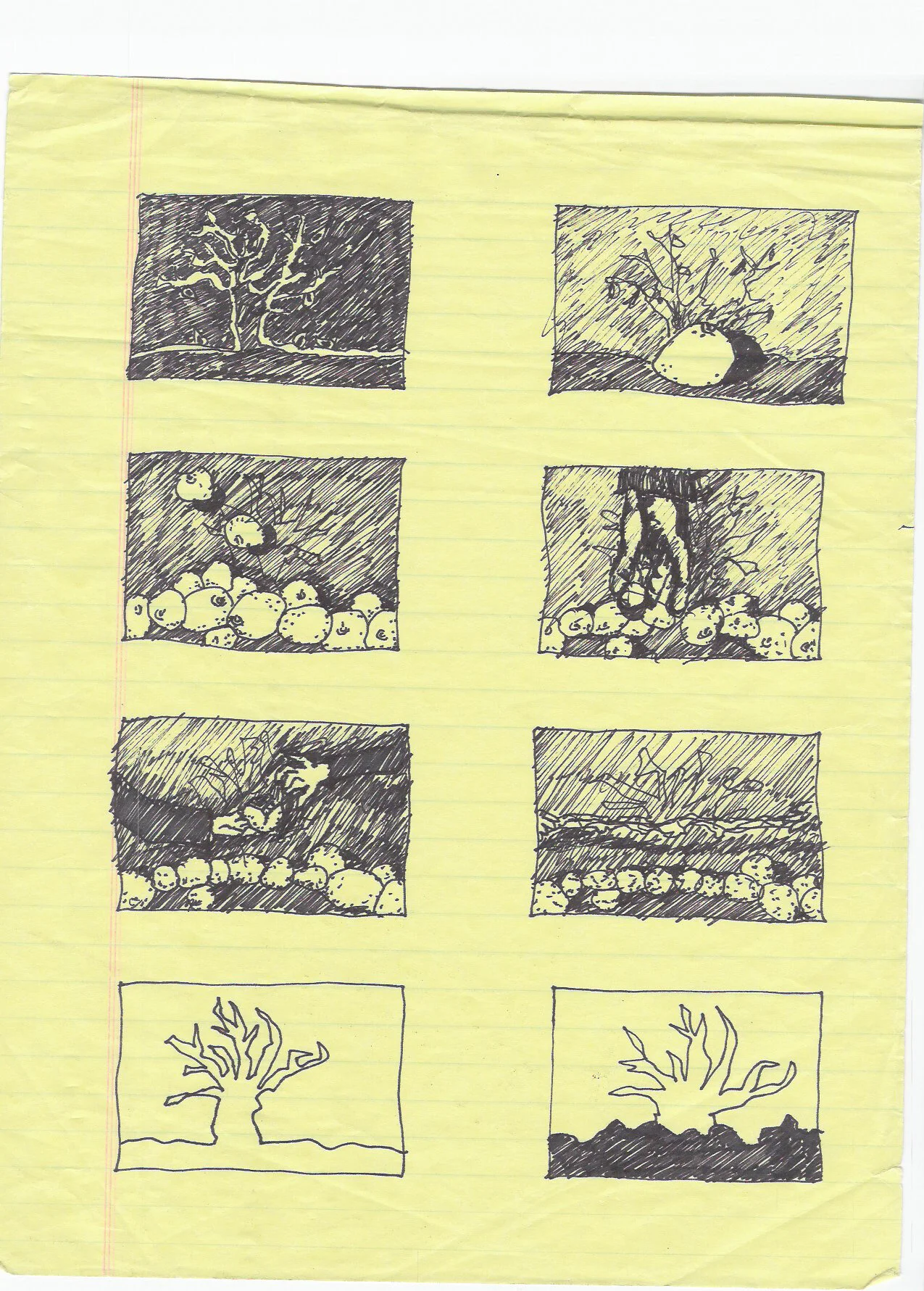 orange tree sb page 1.jpg