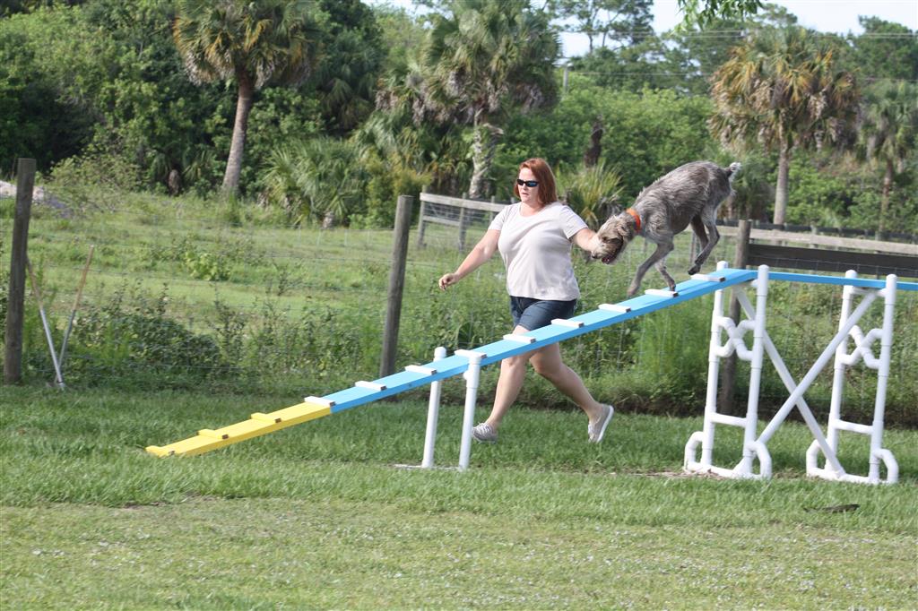 agility class 5-18-15 011.JPG