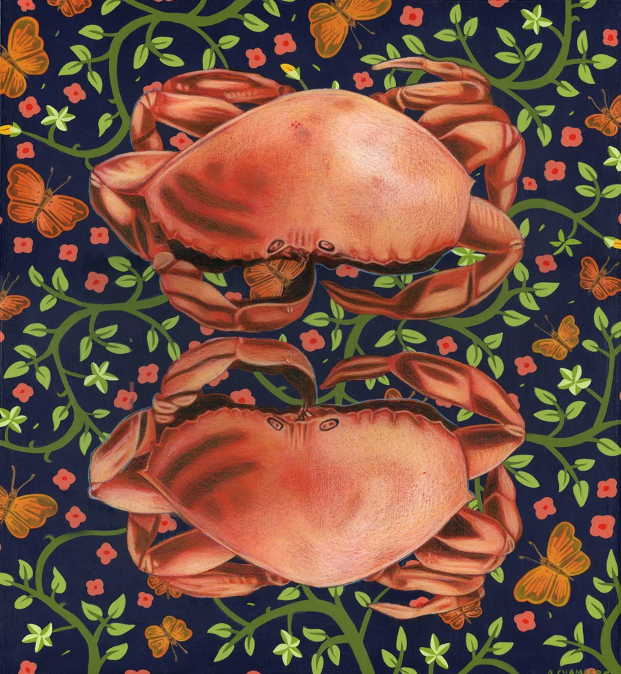 Twin Crabs 100.jpg