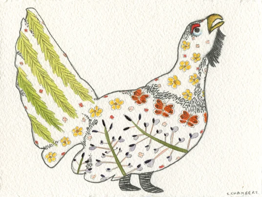 Metso Bird