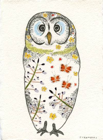 Short Eared Owl