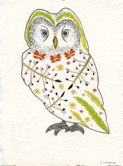 Tengalm's Owl