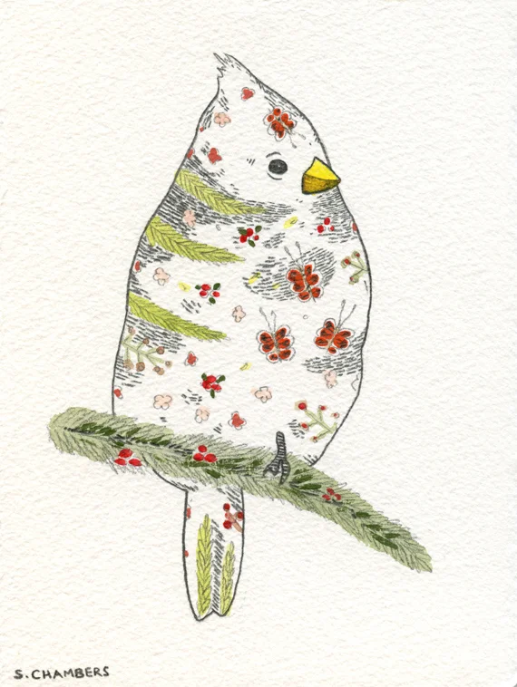 Winter Cardinal