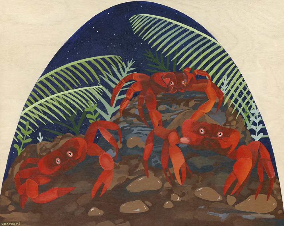 Biodome 6: The Crabs of Christmas Island are Never Crabby
