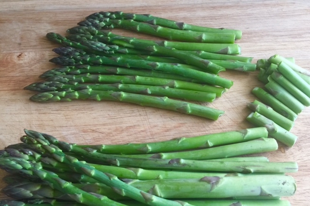 Break off the bottom of the stems where they tend to snap off when bent.