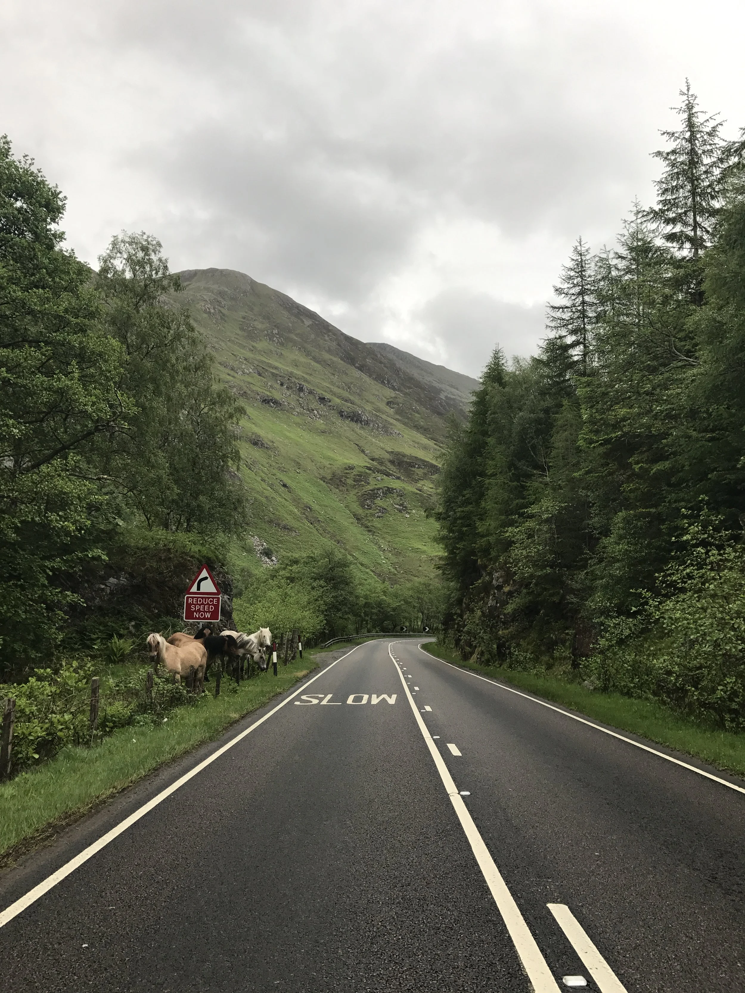  Scotland / spring 2017 