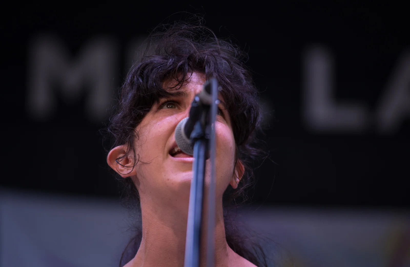 Mohawk1.jpg