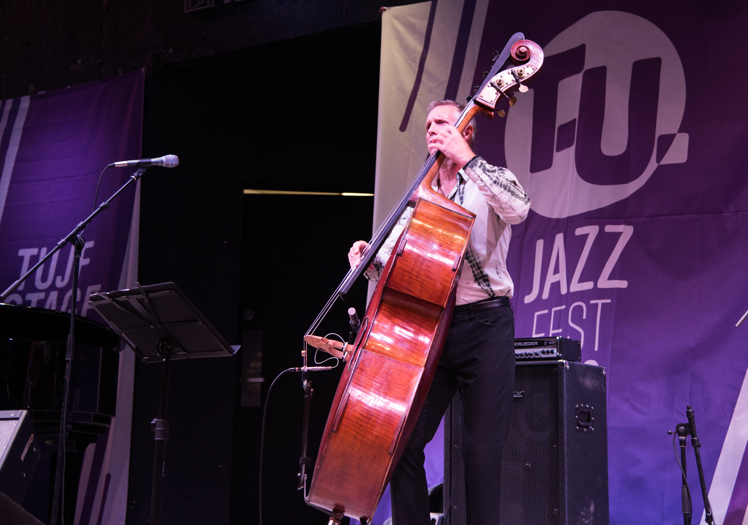 TUJF2018 Main Stage Main 3 - Mike Downes.jpg