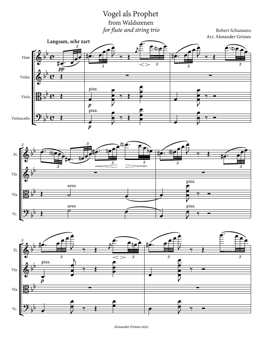 schumann vogel preview.png