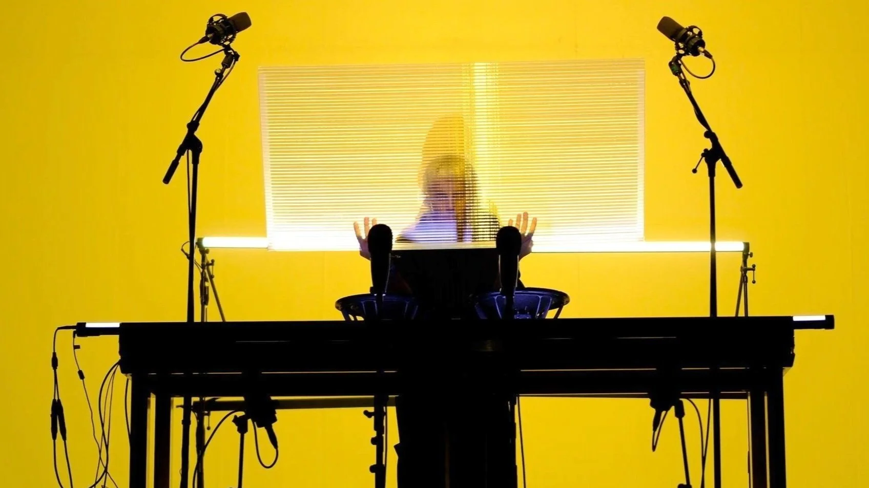 ANIMAL_CTMFESTIVAL_2.jpg