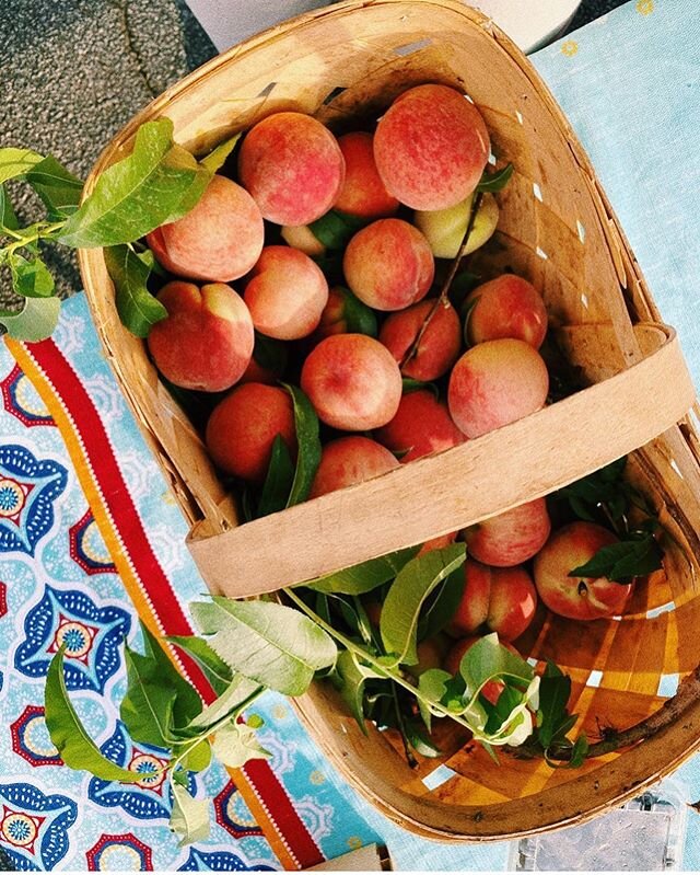 🍑🍑🍑 We&rsquo;ve got beautiful peaches for y&rsquo;all today. 🌱😍 We&rsquo;ll be here until 12, can&rsquo;t wait to see you!
&bull;
&bull;
&bull;
&bull;
#peaches #justpeachy #mariettasquare #marietta  #mariettaga #permaculturefarm #permaculture #f