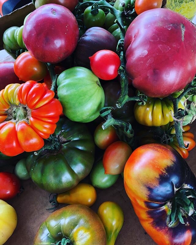 Took a break last weekend but produce pick ups are back and it&rsquo;s finally TOMATO SEASON! 🤤 🍅 We&rsquo;ve got these beautiful heirlooms and pints of cherry tomatoes too! Get your orders in by Friday for Saturday pick ups ❤️
&bull;
&bull;
&bull;