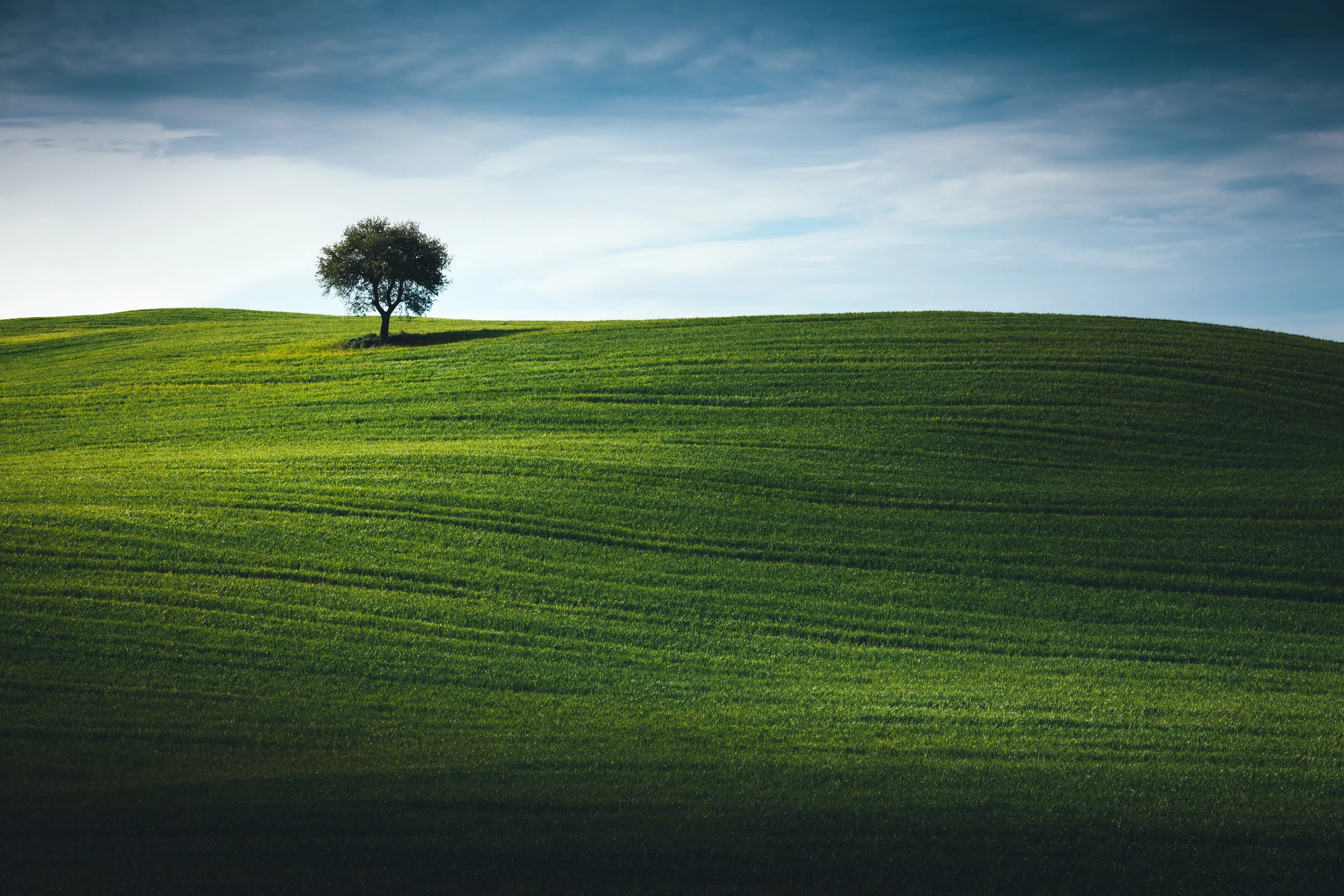 Blueprint Capital Advisors