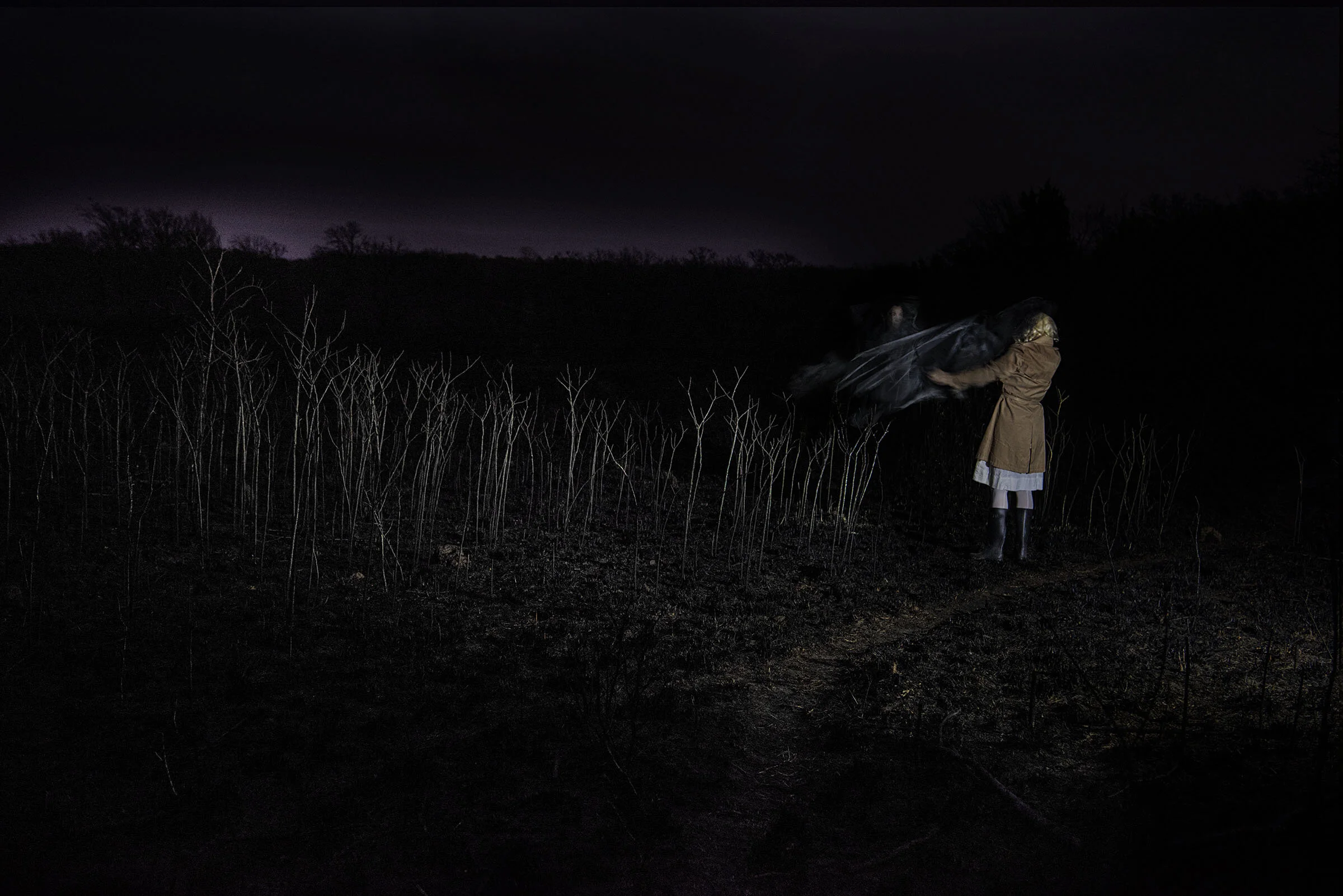 _DSC4462_DETAIL EXTRACTOR.jpg