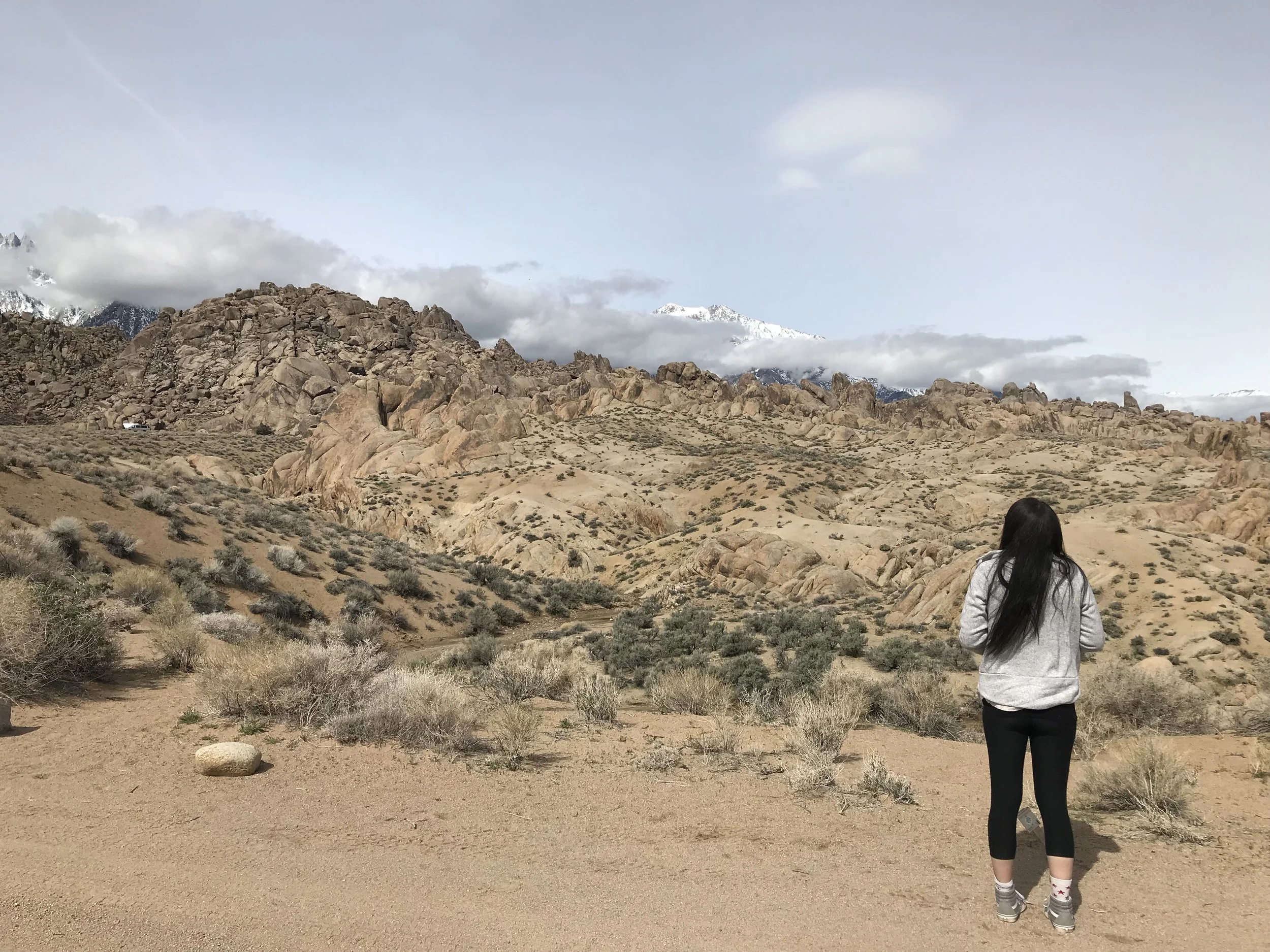 2019-03-22 10.52.37.jpg