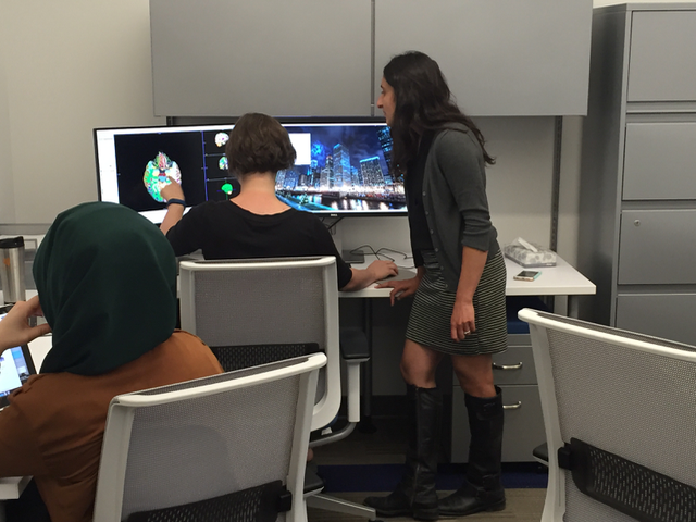 Katherine Damme, Tina Gupta, and Sekine Oztruk hard at work at processing data