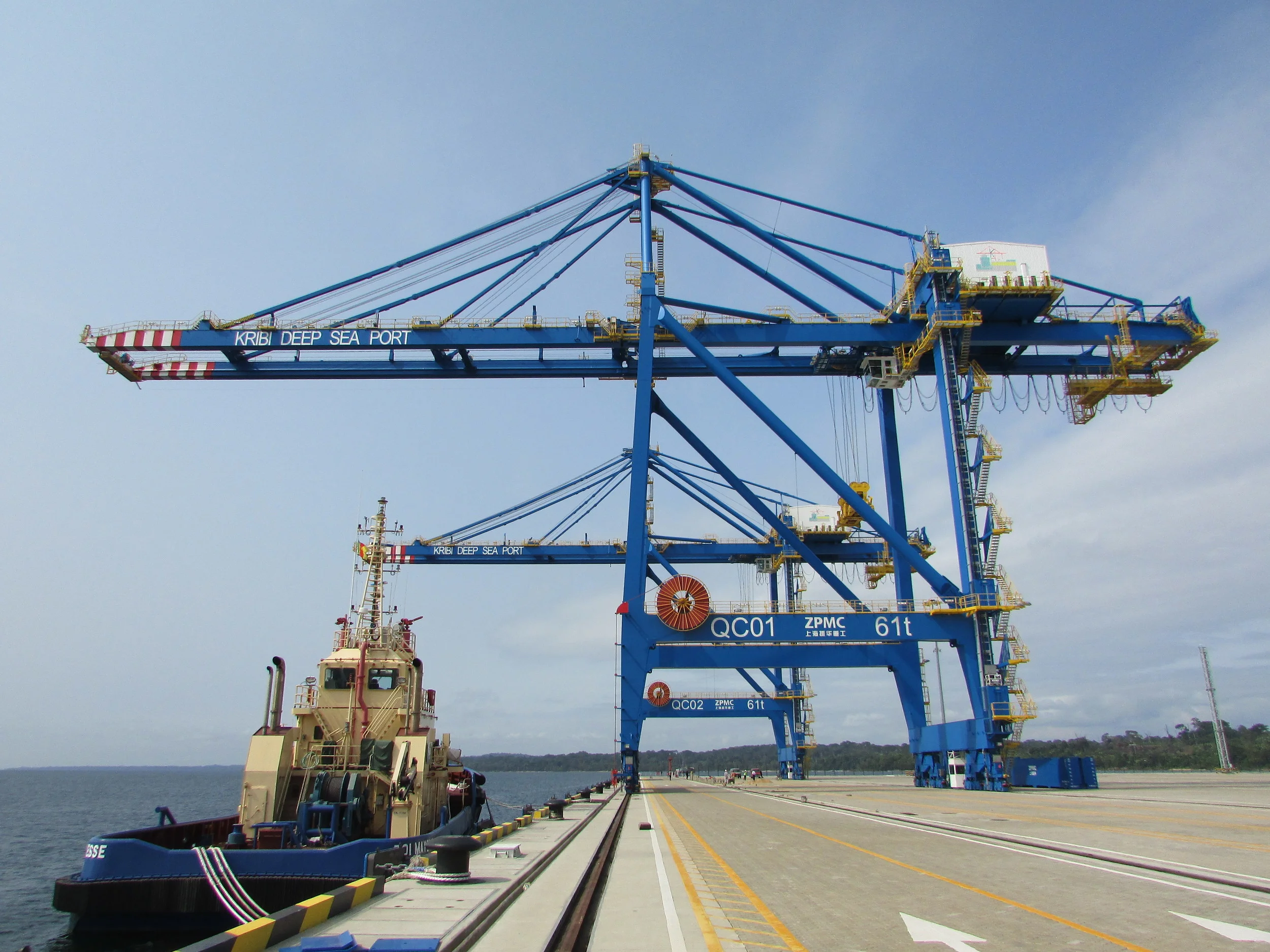 4.Blue Cranes.JPG