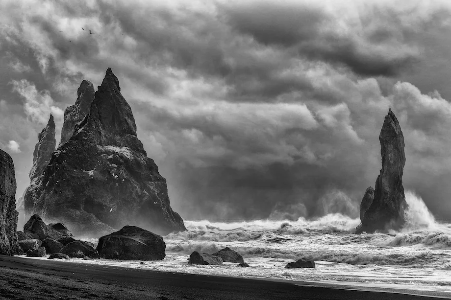 PEOPLES CHOICE AWARD &nbsp;&amp; 2nd Place - Environment Category (Advance Classification): "The Force of Nature"