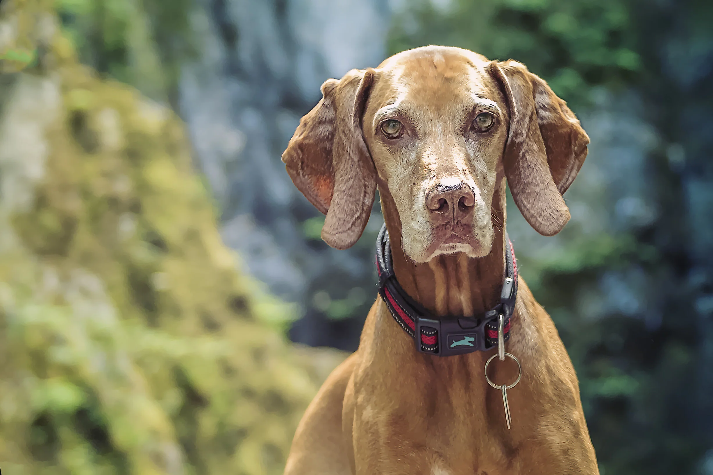 _DSC4159 copy_picc.jpg