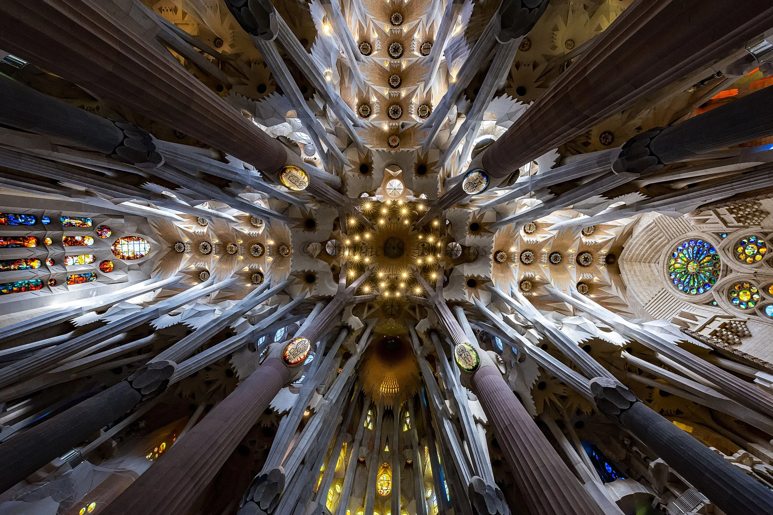2-Intricacy WM.jpg