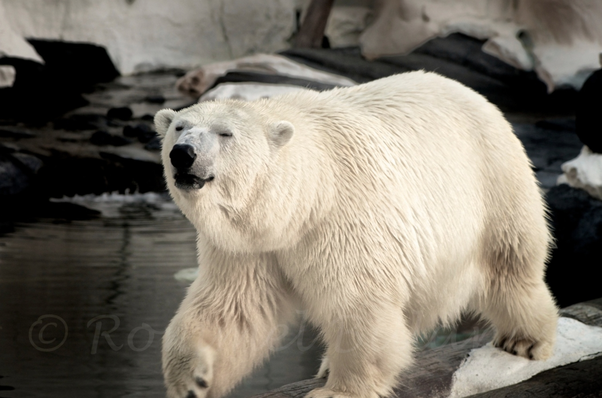 Screen Shot 2021-06-23 at 9.13.24 AM.png