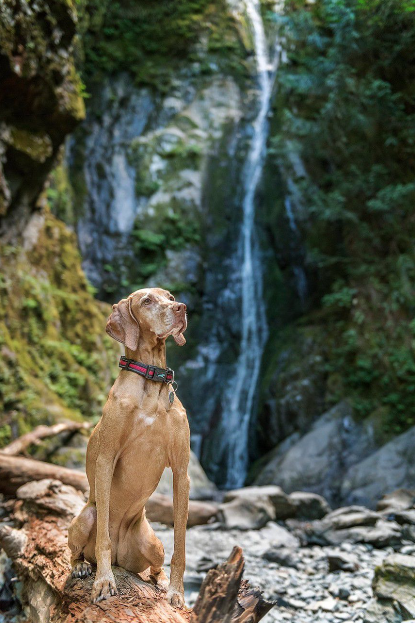 Screen Shot 2021-06-23 at 9.08.24 AM.png