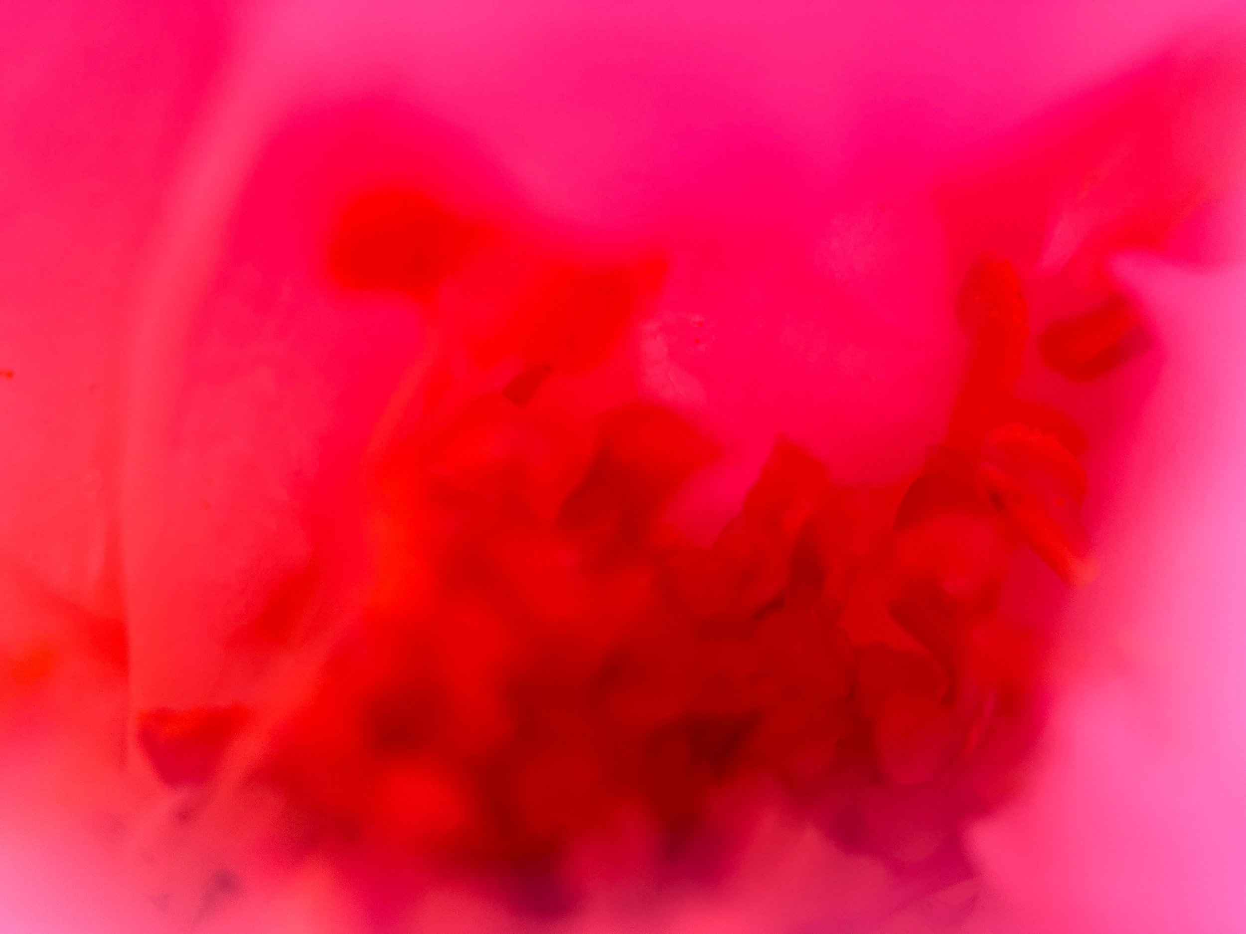 Take a moment to focus on your senses. Imagine yourself in a lush garden, surrounded by the scent of blooming flowers, the feel of soft grass beneath your feet, and the sound of birds singing. How does the gentle touch of a breeze on your skin make