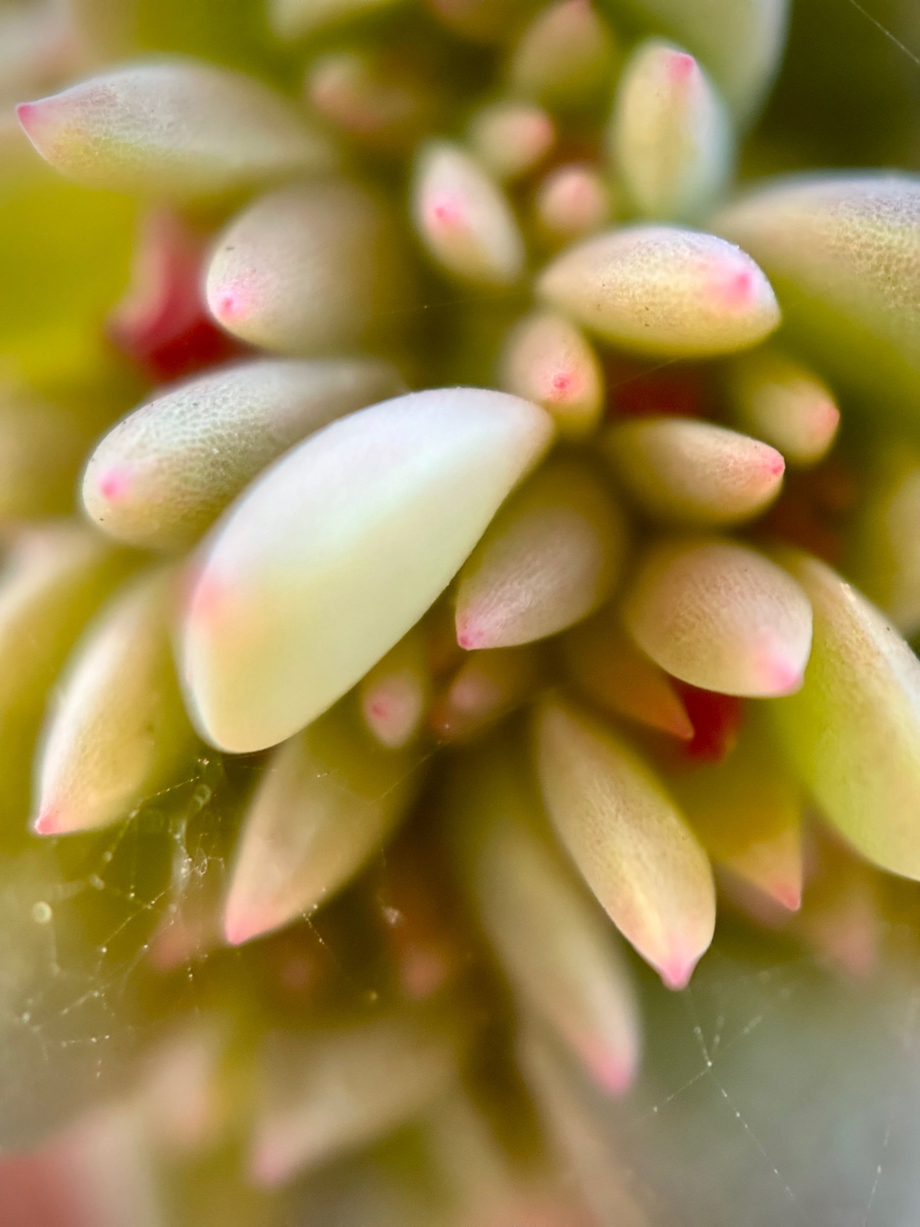 Gratitude for the Little Things Find a couple minutes in your day to take 5 slow breaths. On the inhale, first thought best thought here, send thanks to someone or something that brought you joy. On the exhale send love there.