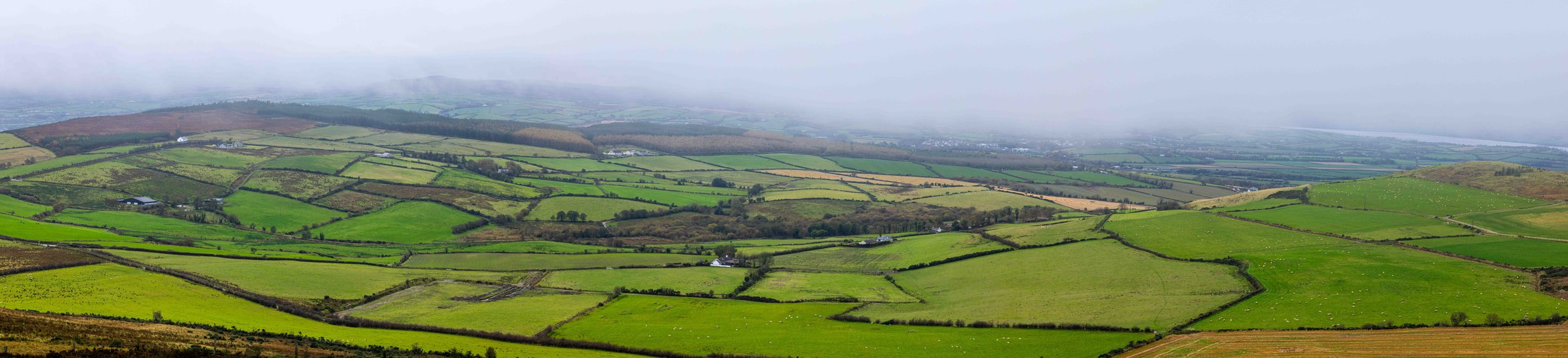 0C3A0891-Pano.jpg