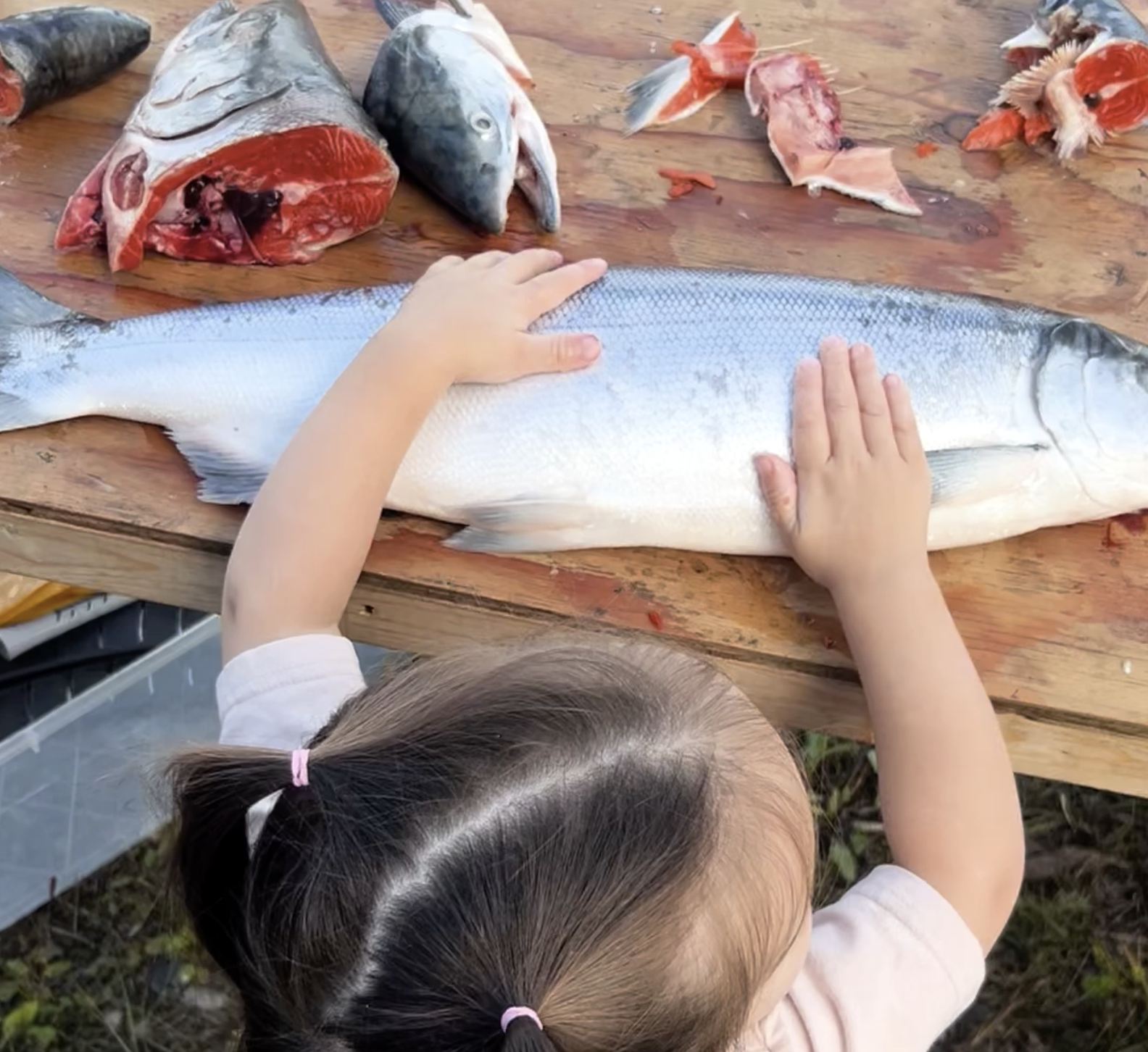 Defend Subsistence Rights: Public Comment by Feb. 13