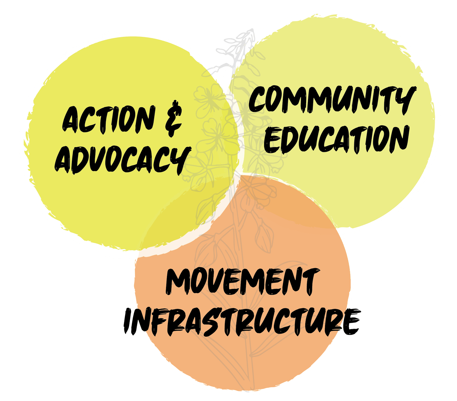 What We Do — Native Movement