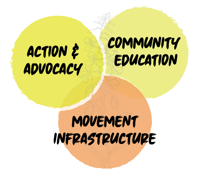 What We Do — Native Movement