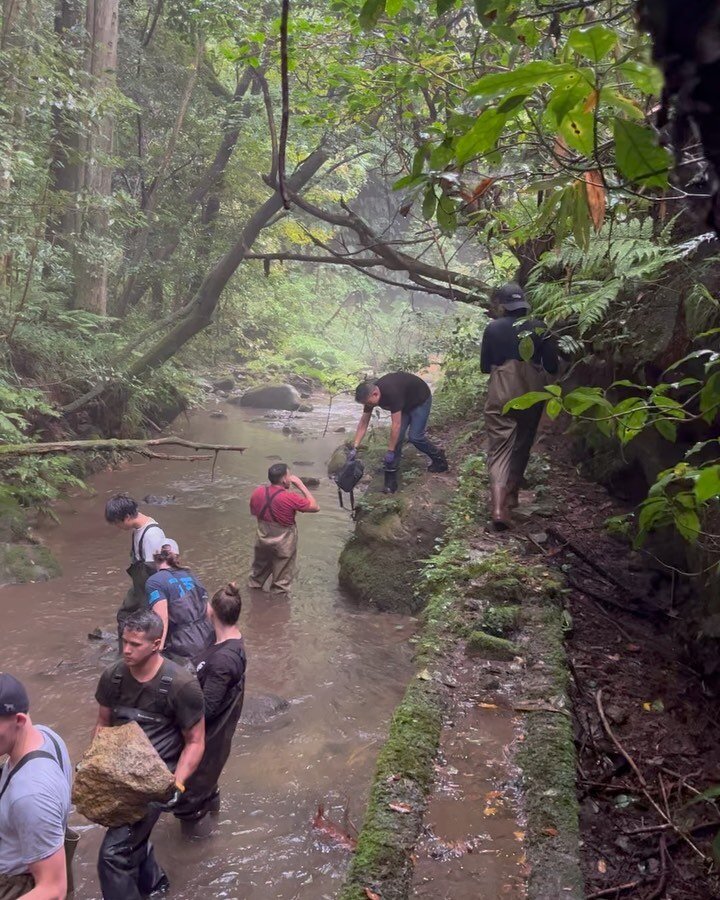 The US Military, local people, university students and our organisation&rsquo;s members freely gave their time to take direct conservation action to help Daisen&rsquo;s special wildlife! 

After several months of hard work and frustration, we as an o