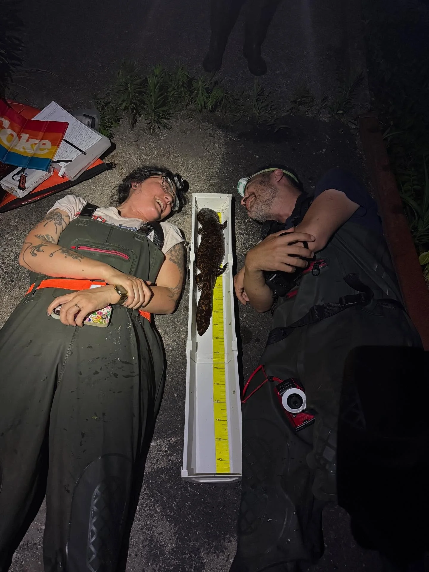 Making dreams come true AND helping conserve Japanese Giant Salamanders! It’s a privilege to introduce the majestic JGS to fine folk who care so much about nature. 
Would you like to meet them for yourself? We are waiting for you!
#japanesegi