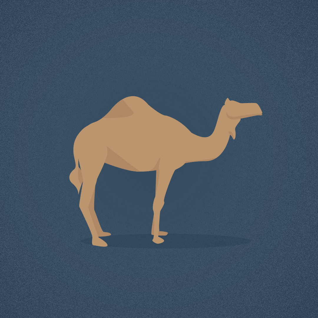 Hump Day