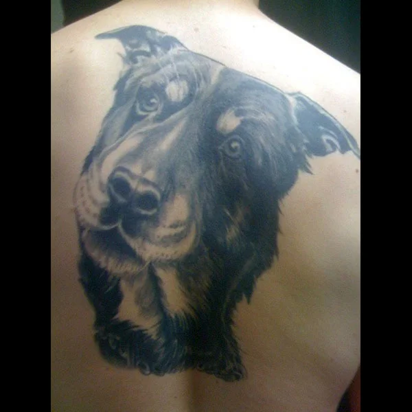 dog-back.jpg