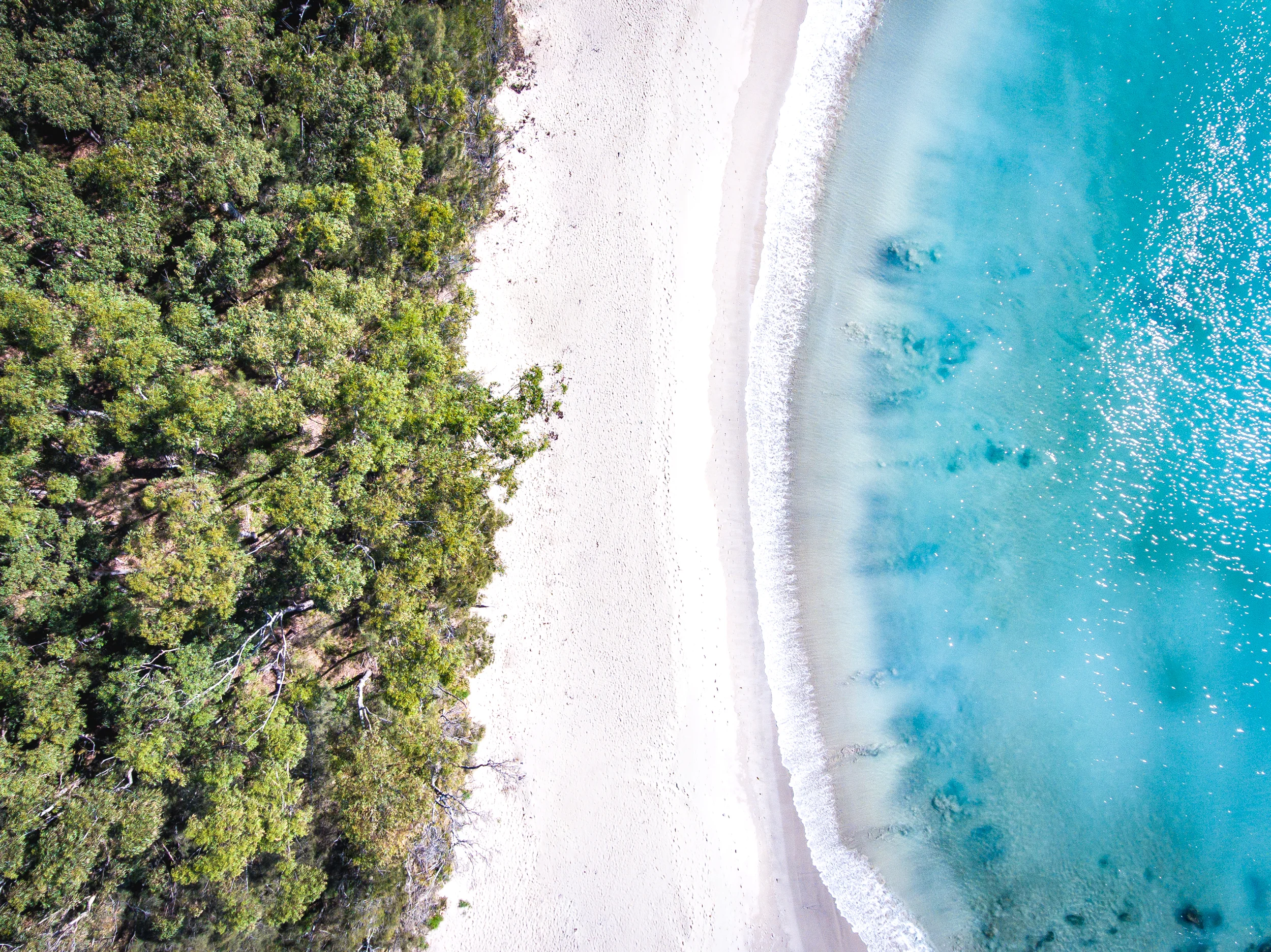 DJI_0009-2.jpg