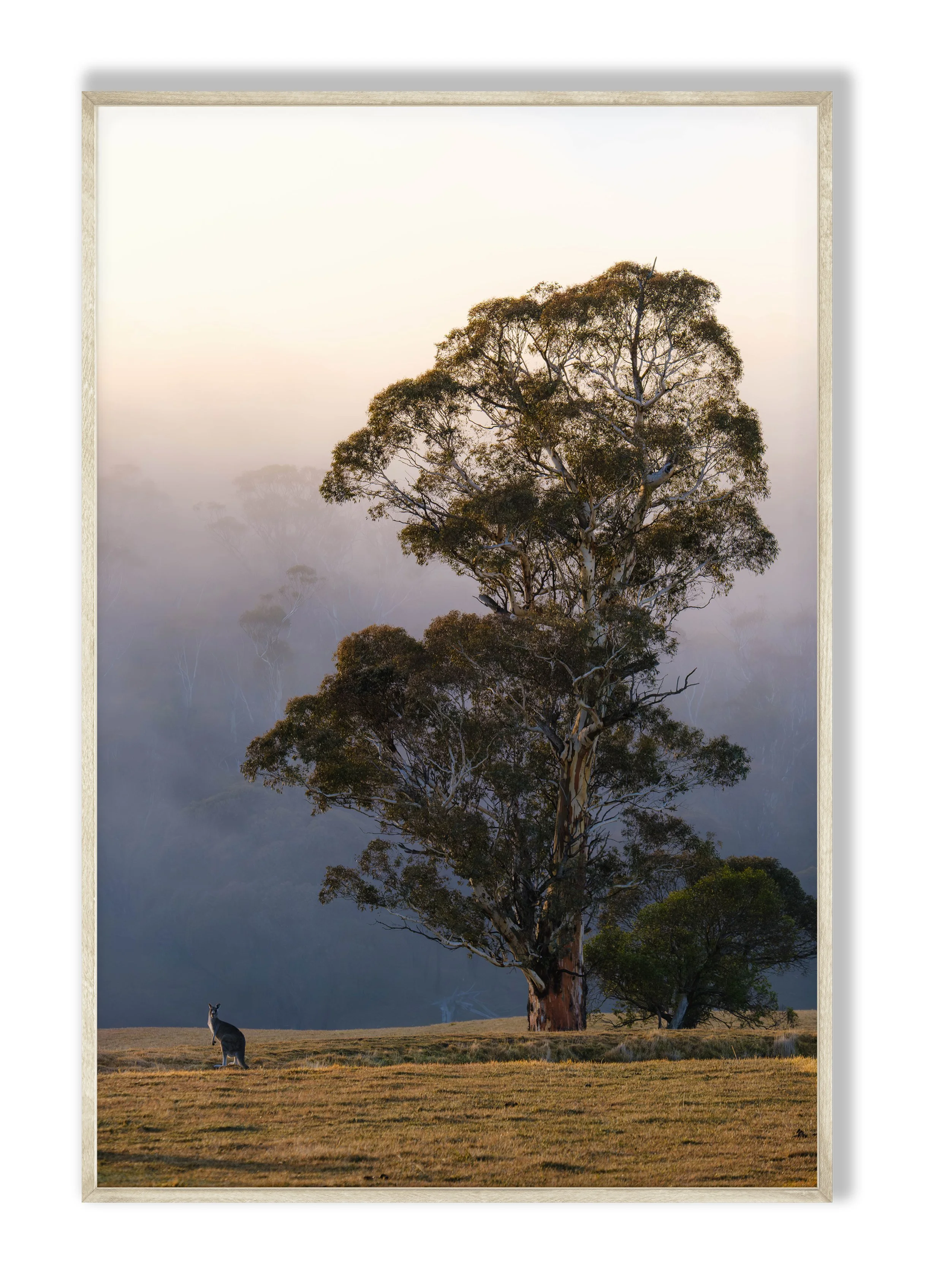 Crackenback Connection