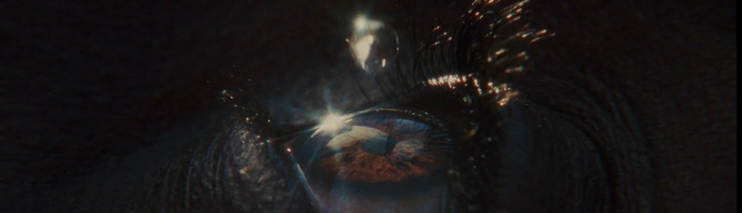 eye.jpg