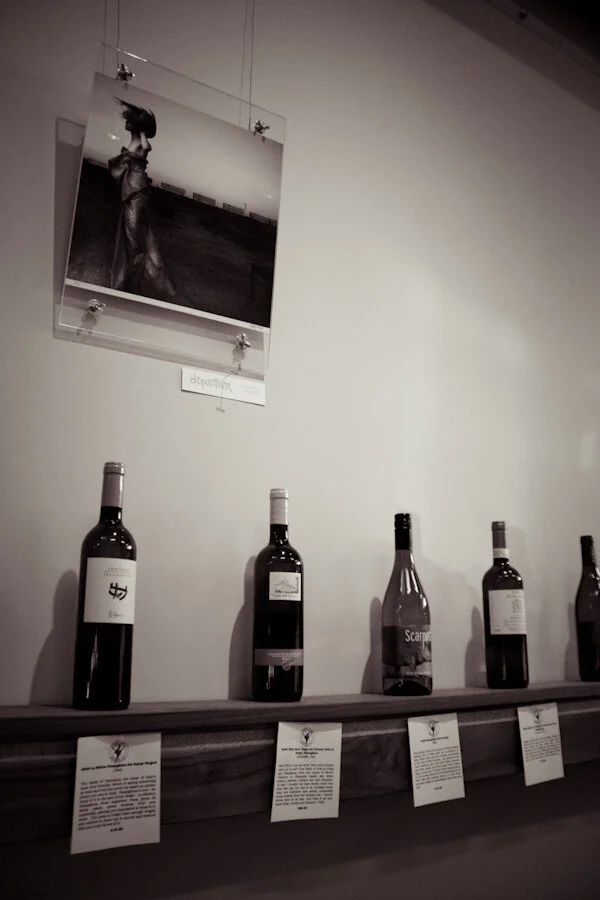 figmentation-14.jpg