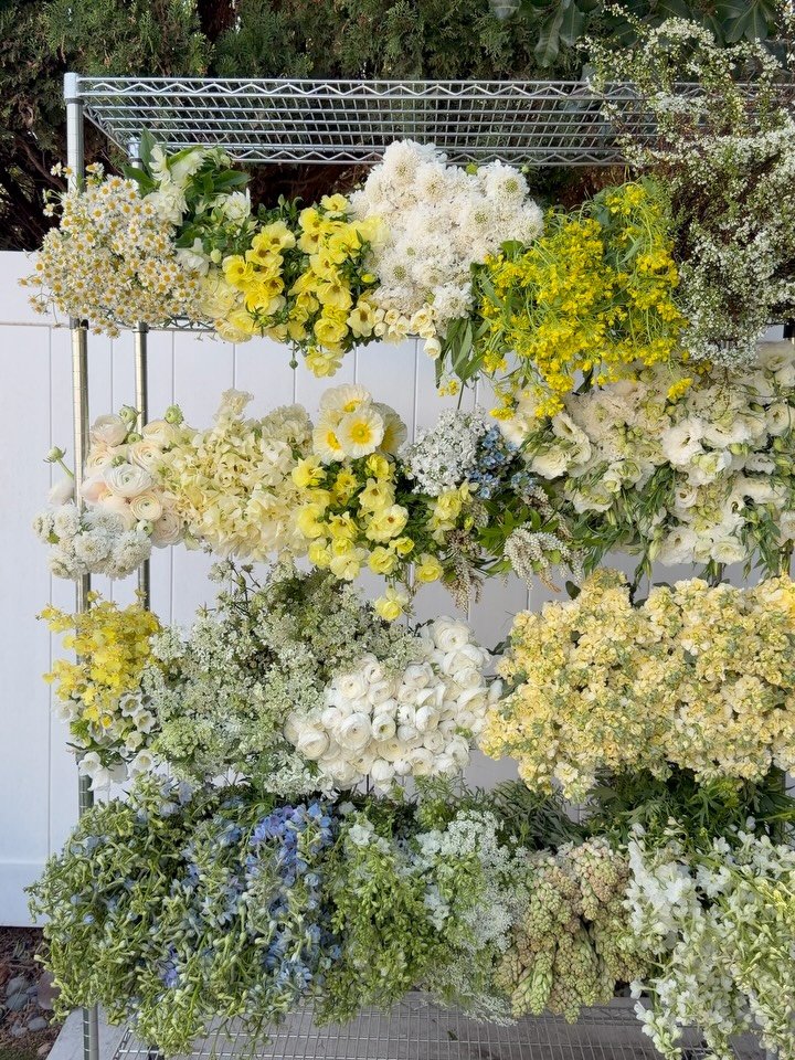 Spring is here in our studio and I can&rsquo;t wait to show off all the flower carts for this year. This week we have two weddings so it&rsquo;s a bit crazy and a ceiling installation that we have to do. It&rsquo;s a lot of work, but the work will be