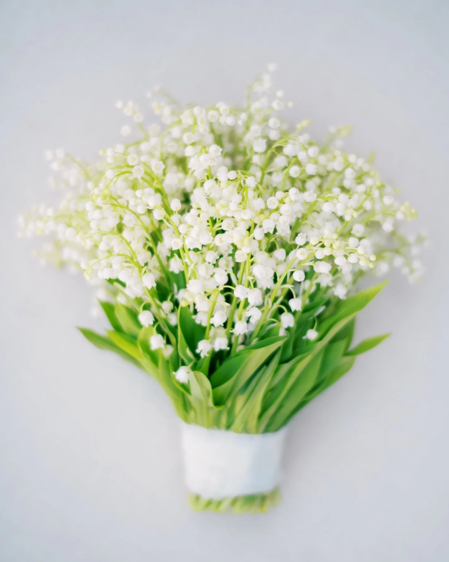 Every wonder what a $2500 bouquet looks like? This is it! The queen of all queens. LILIES OF THE VALLEY. 

Happy 5 year anniversary to us.

Royalty flowers for queens and princesses must have LOTV. It&rsquo;s a must. 

Lily of the valley (Convallaria