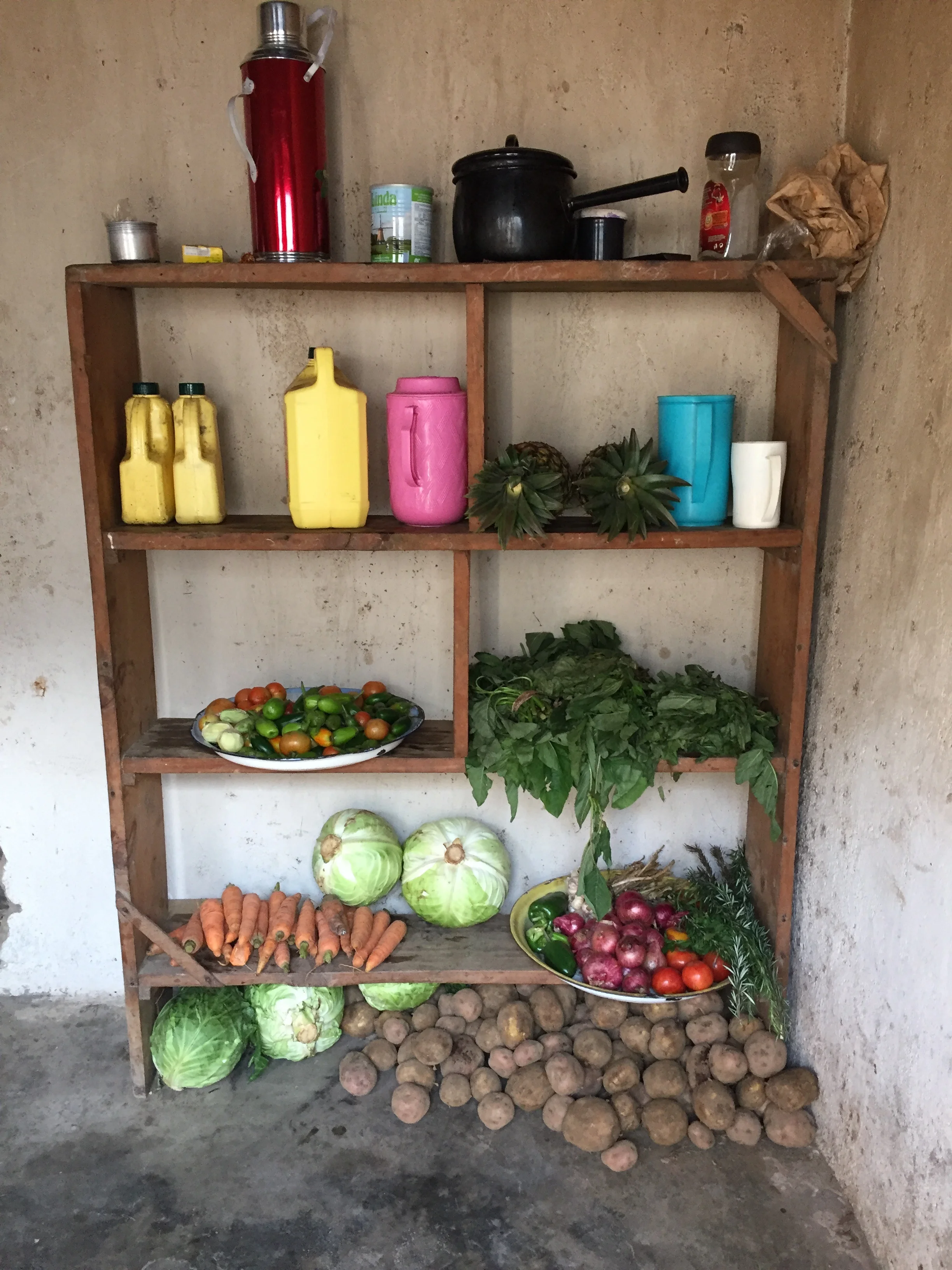 And the fruits of our labours stored back at the guesthouse 