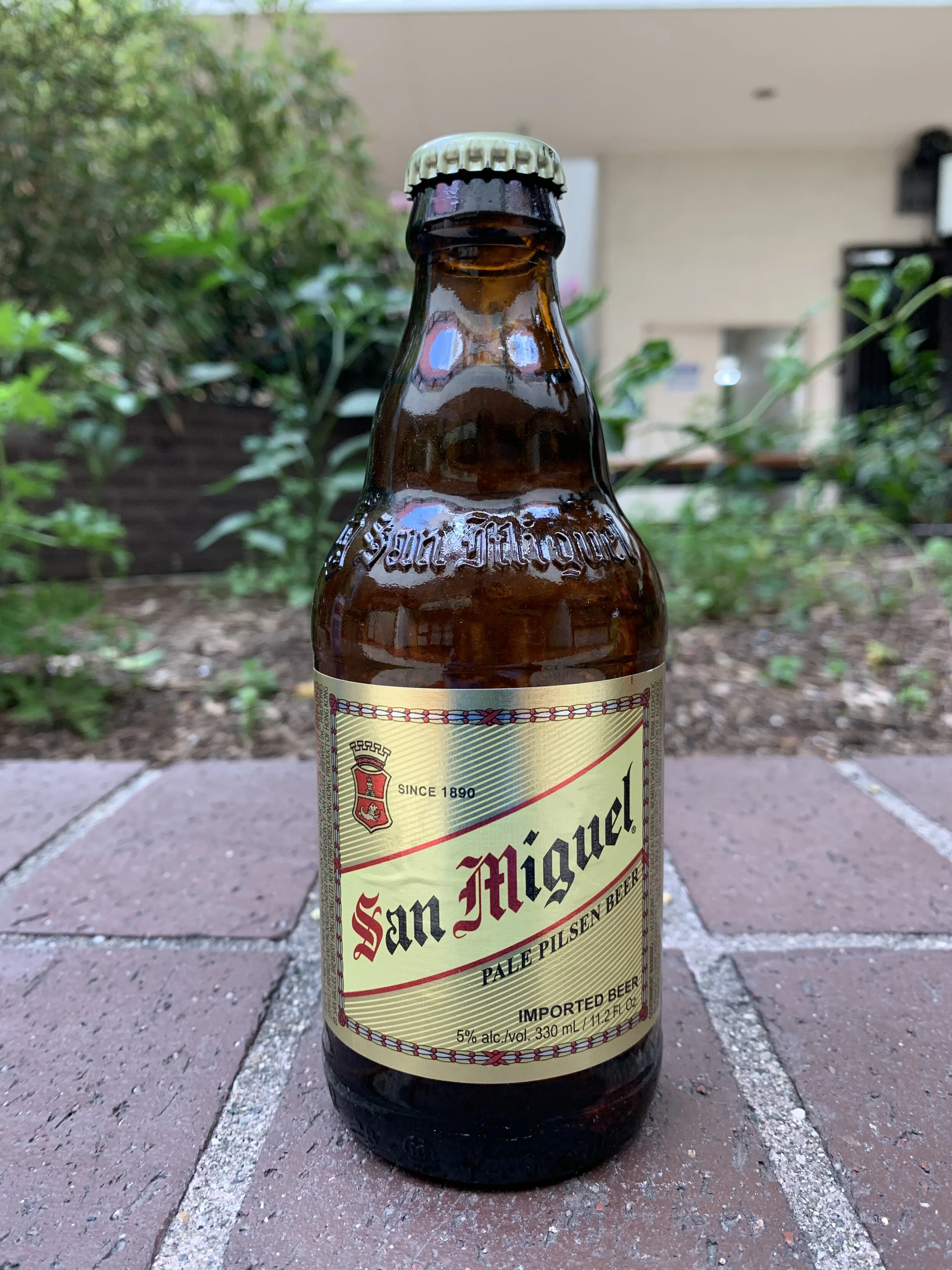 sanmig.jpg