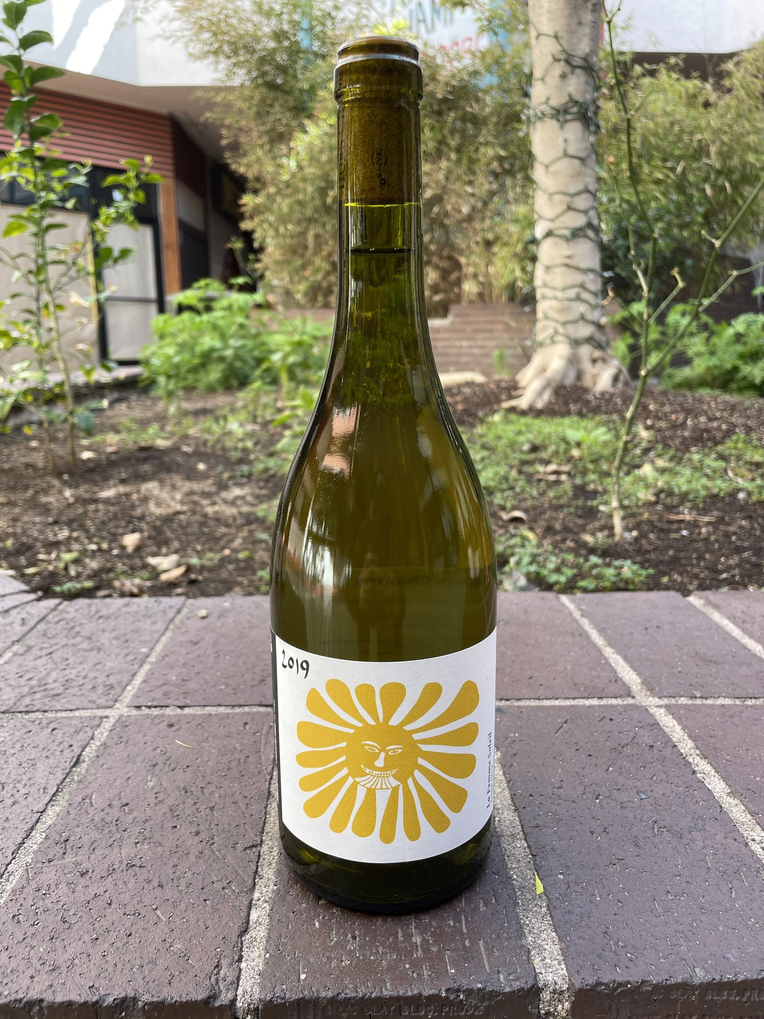 Gorge Macabeo - large.jpeg