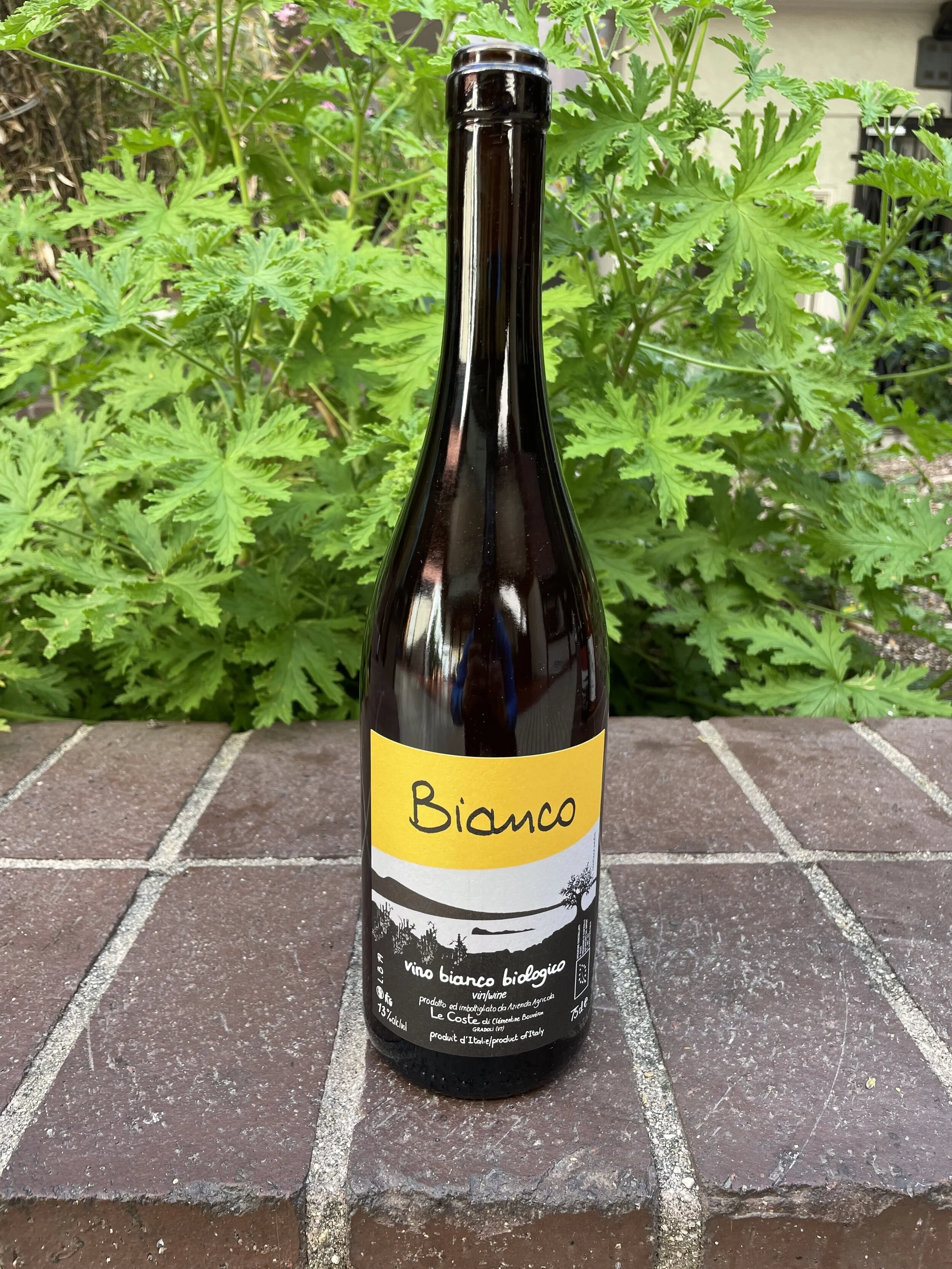 Le Coste Bianco.jpeg