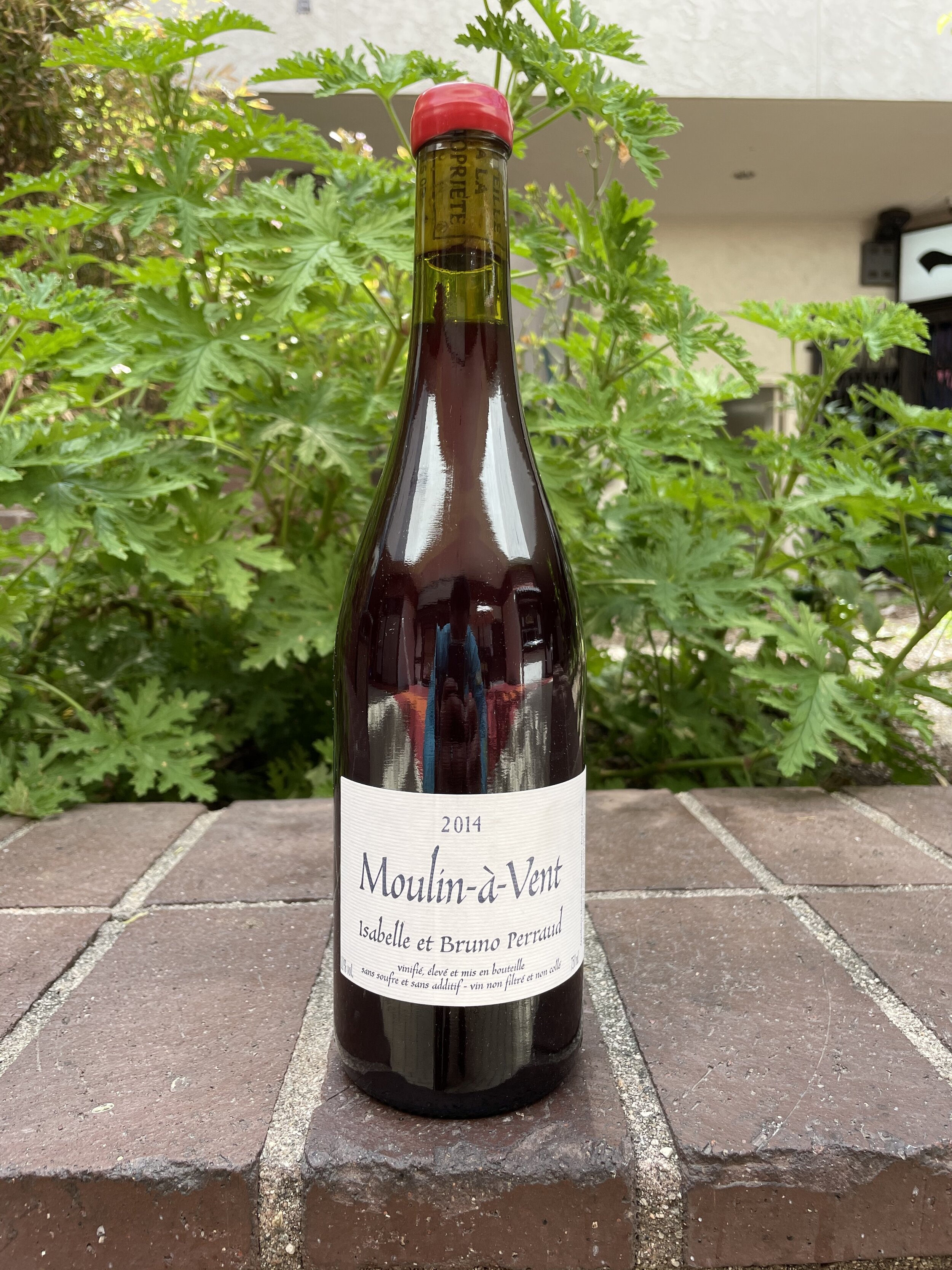 Bruno Perraud Gamay.jpeg