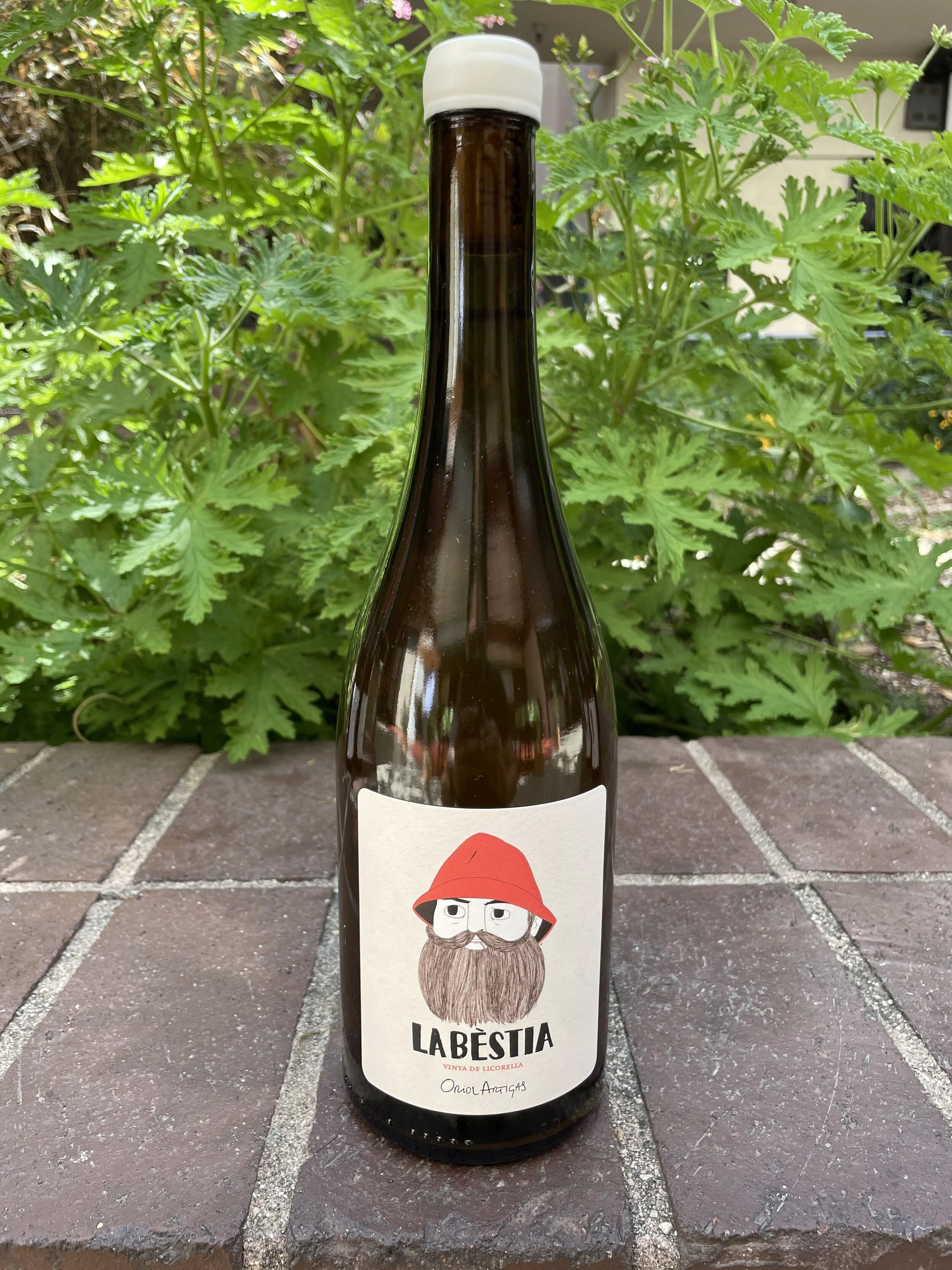 Oriol Artigas La Bestia Orange.jpeg