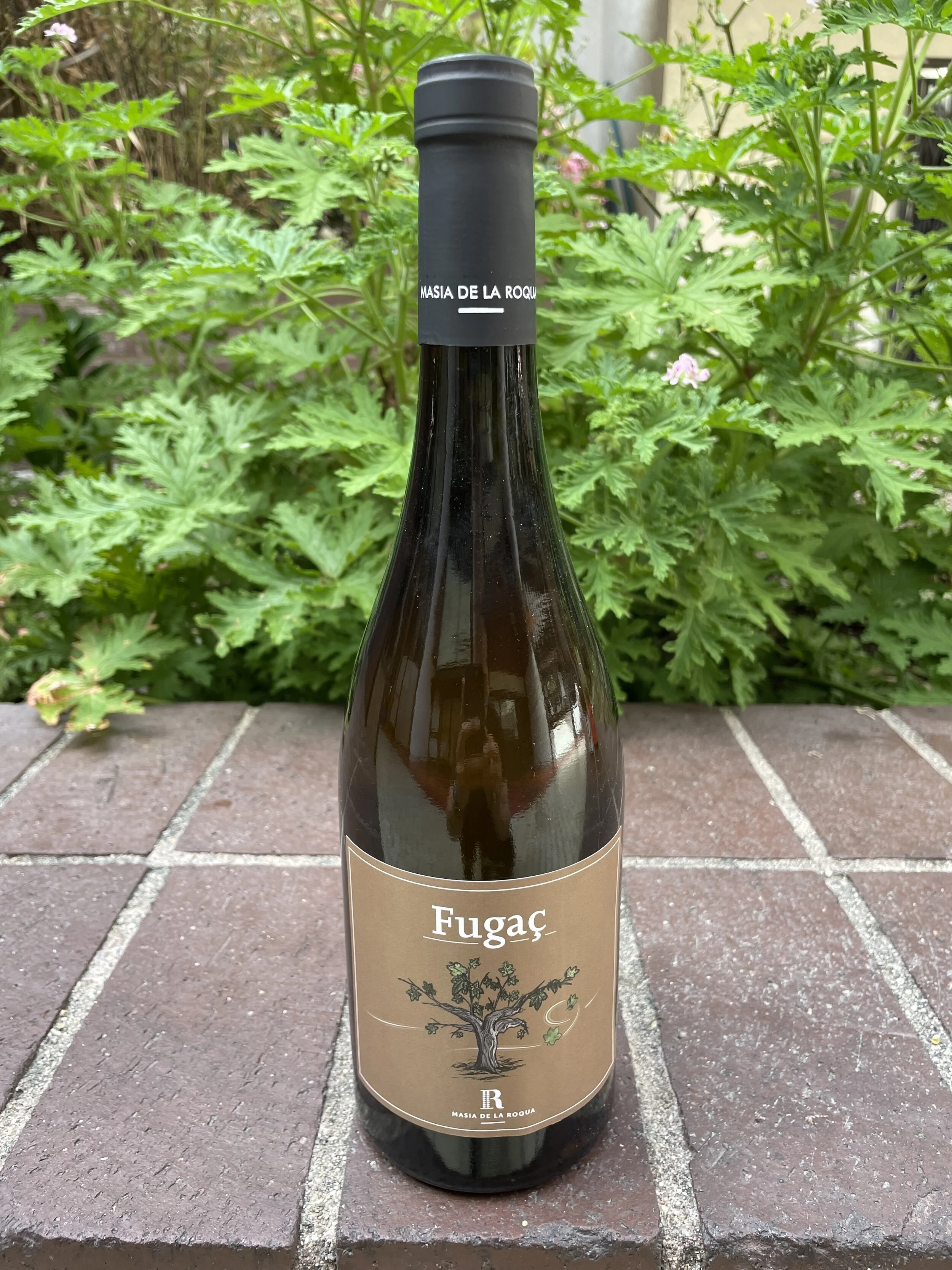 Masia de la Roqua Fugac Malvasia White.jpeg