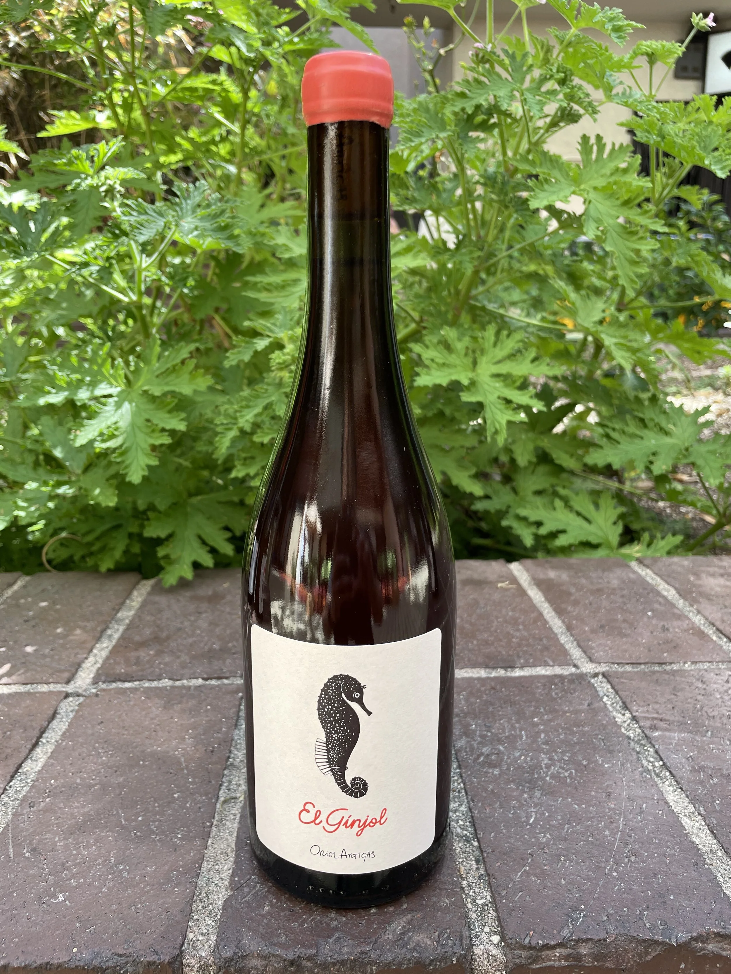 Oriol Artigas El Grinjol Rose.jpeg